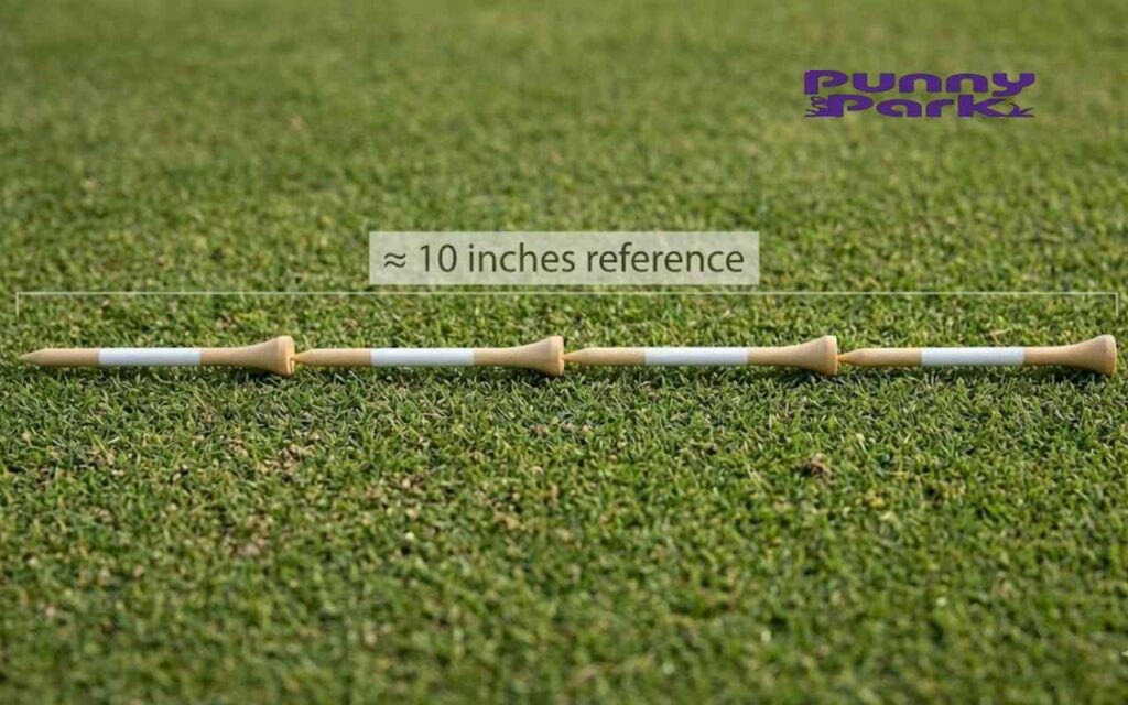 Four wooden golf tees lined up end-to-end on green grass to create a total length of approximately 10 inch.