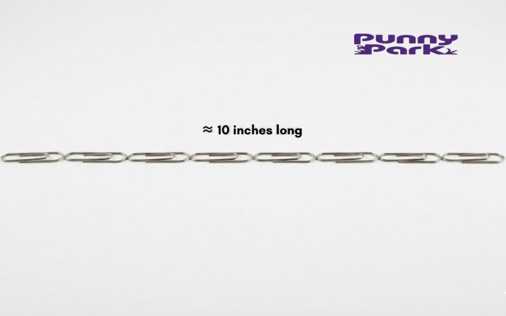 Eight silver metal paper clips linked together in a straight horizontal chain. A text overlay indicates the total length is approximately 10 inches.